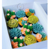 Beautifully crafted cactus-themed cupcakes. Melbourne online delivery available. Perfect for gifts & special occasions